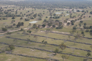 Desmatamento no Pantanal de MS cai 65% em 2025, aponta Inpe