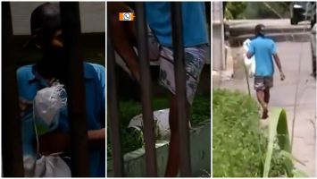 Equipe de TV flagra invasor de prédio durante reportagem ao vivo sobre invasões e furtos a edifício interditado