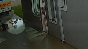 VÍDEO: cachorro é arrastado pela força do vento durante tornado em São José dos Pinhais