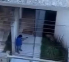 VÍDEO: Homem é preso após matar cachorro a tiros em MG